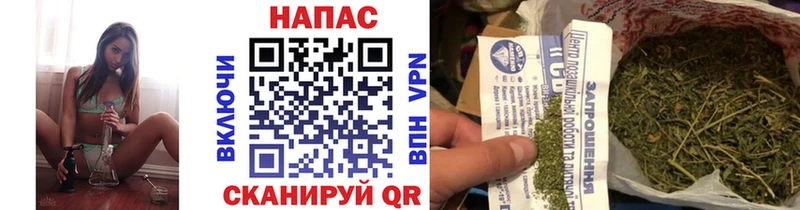 Купить закладку Альфа ПВП  Марихуана  COCAIN  Мефедрон  ГАШ  Новый Уренгой