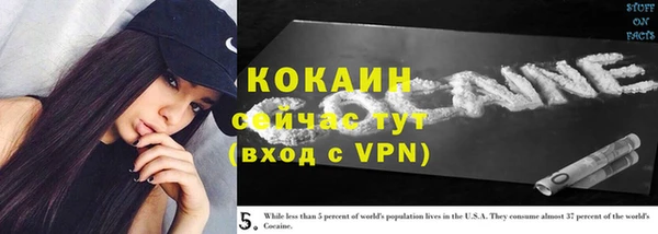 ешки Гусь-Хрустальный