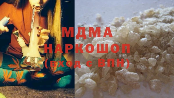 прущие грибы Гусиноозёрск