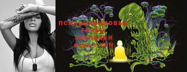 метадон Дмитриев
