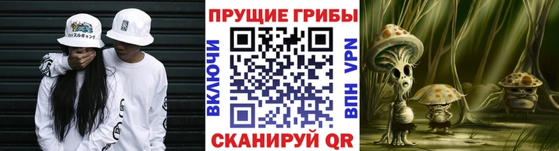 Галлюциногенные грибы мицелий  Купить  Новый Уренгой 